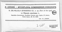 Meliola seyboensis image